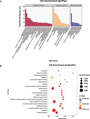 Mmu-miR-25-3p promotes macrophage autophagy by targeting DUSP10 to reduce mycobacteria survival